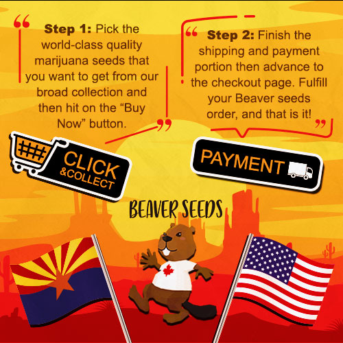 buy marijuana seeds in arizona